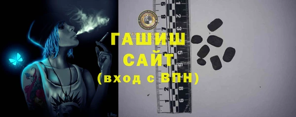 индика Приозерск