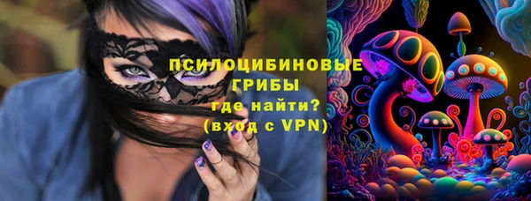 индика Приозерск