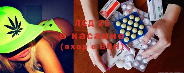 индика Приозерск