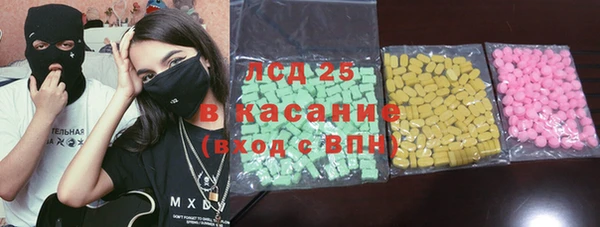 индика Приозерск